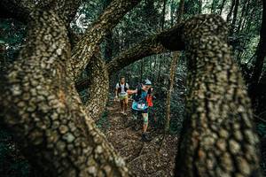 BIB: 
                            <button type="button" onclick="openModal(25392789)" class="btn btn-primary btn-sm float-right btn-popup" data-toggle="modal" data-target=".modal-high-quality">
                        <i class="fas fa-shopping-cart"></i> Add to Cart
                    </button>
                                            <button type="button" onclick="isThisMe(25392789, true)" class="btn btn-success btn-sm float-right btn-popup btn-isme hidden" data-toggle="tooltip" data-placement="bottom" title="นี่คือรูปของคุณใช่ไหม คลิกที่นี่เพื่อเอาเข้าอัลบั้ม">
                        <i class="fas fa-plus"></i> Add to album
                    </button>
                    <button type="button" onclick="isThisMe(25392789, false)" class="btn btn-warning btn-sm float-right btn-popup btn-isnotme hidden">
                        <i class="fas fa-ban"></i> Remove from album
                    </button>